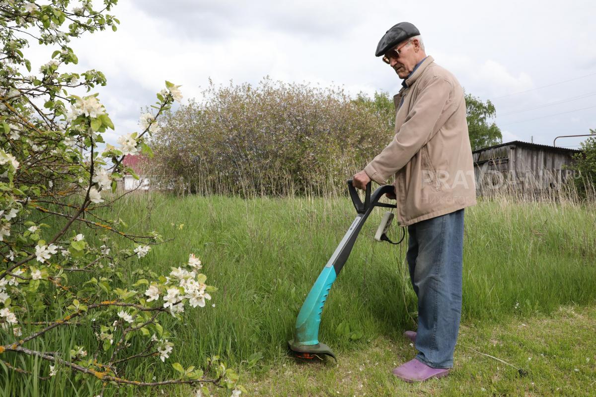 Депутат Чаплин рассказал, что изменится в жизни дачников после 1 сентября